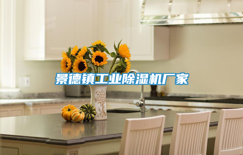 景德镇工业抖音成人版下载厂家