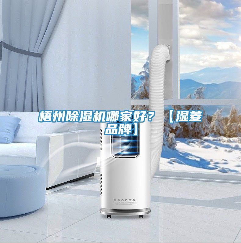 梧州抖音成人版下载哪家好？【湿菱品牌】