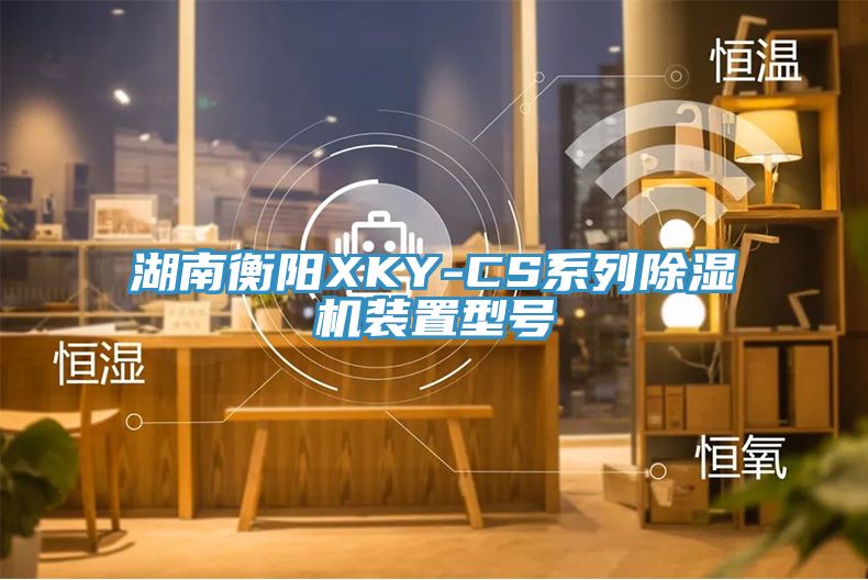 湖南衡阳XKY-CS系列抖音成人版下载装置型号