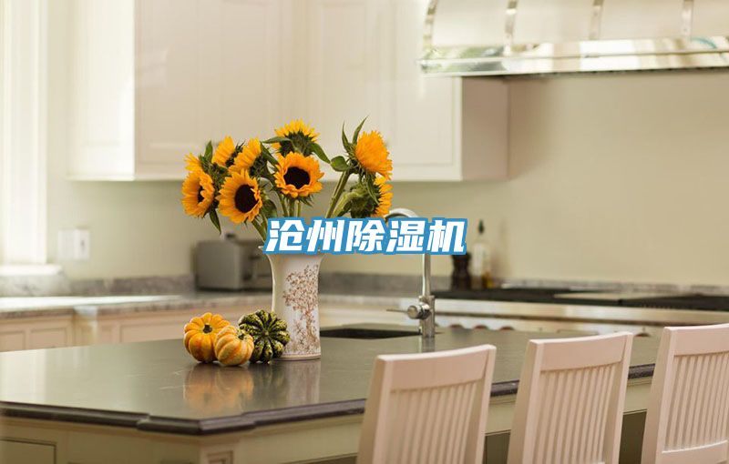 沧州抖音成人版下载