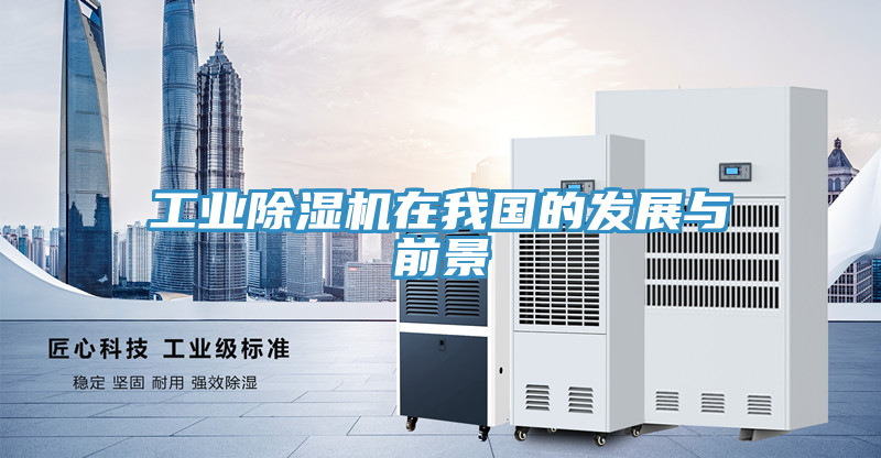 工业抖音成人版下载在我国的发展与前景