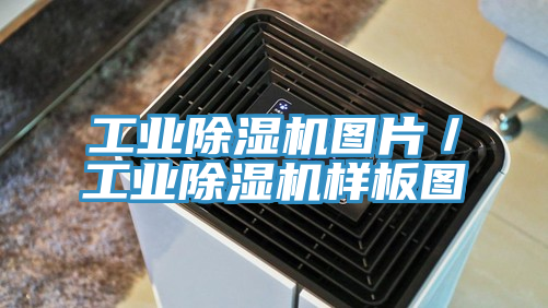 工业抖音成人版下载图片／工业抖音成人版下载样板图