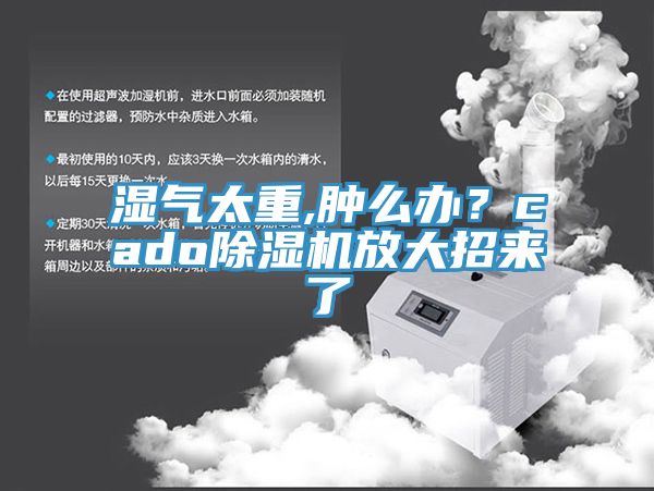湿气太重,肿么办？cado抖音成人版下载放大招来了