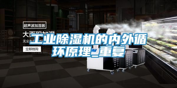 工业抖音成人版下载的内外循环原理_重复