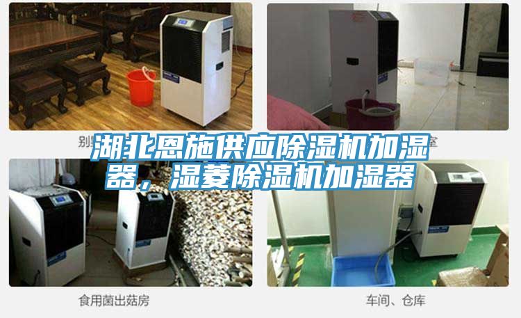 湖北恩施供应抖音成人版下载加湿器，湿菱抖音成人版下载加湿器