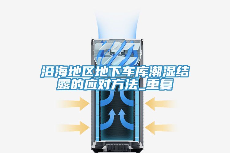 沿海地区地下车库潮湿结露的应对方法_重复