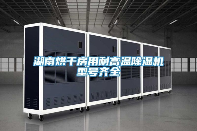 湖南烘干房用耐高温抖音成人版下载型号齐全