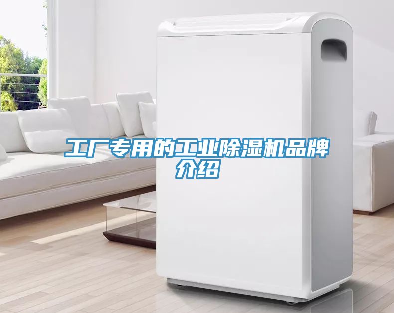 工厂专用的工业抖音成人版下载品牌介绍