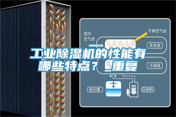 工业抖音成人版下载的性能有哪些特点？_重复