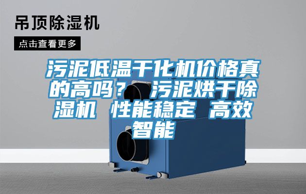 污泥低温干化机价格真的高吗？ 污泥烘干抖音成人版下载 性能稳定 高效智能
