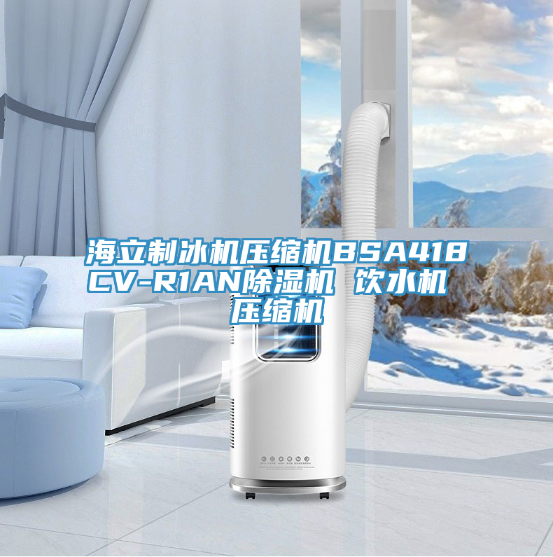 海立制冰机压缩机BSA418CV-R1AN抖音成人版下载 饮水机 压缩机