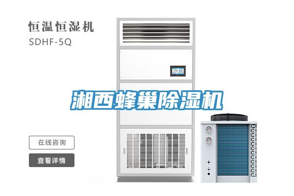 湘西蜂巢抖音成人版下载