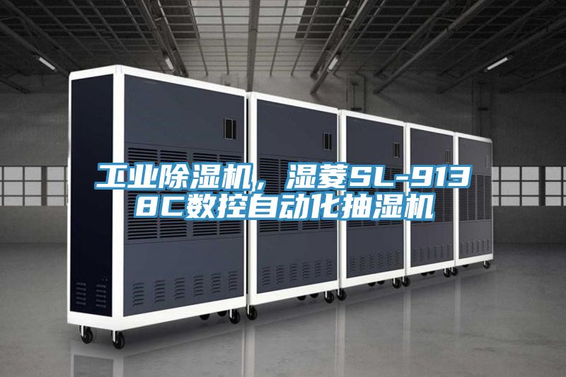 工业抖音成人版下载，湿菱SL-9138C数控自动化抽湿机