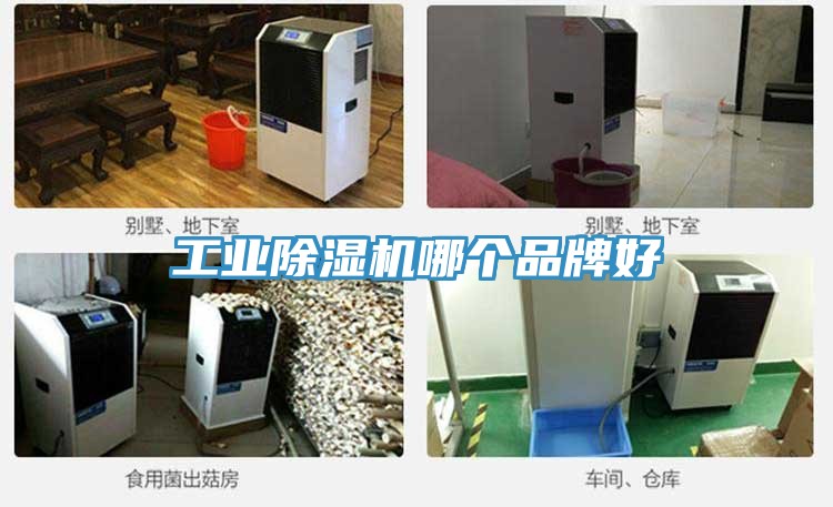 工业抖音成人版下载哪个品牌好