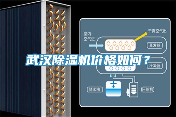 武汉抖音成人版下载价格如何？