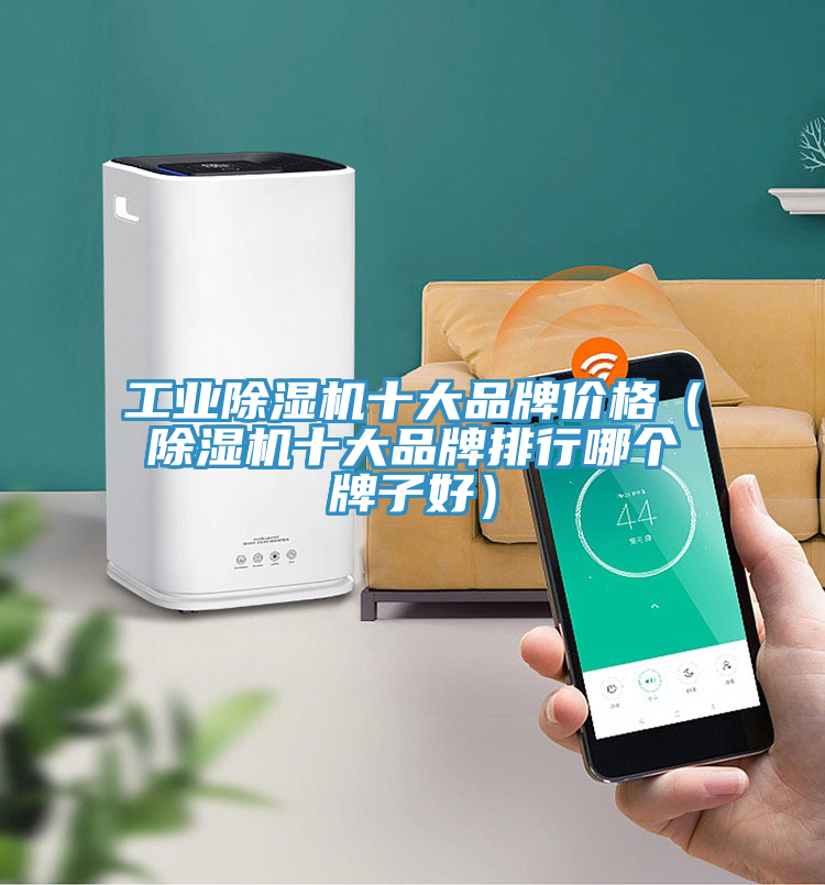 工业抖音成人版下载十大品牌价格（抖音成人版下载十大品牌排行哪个牌子好）