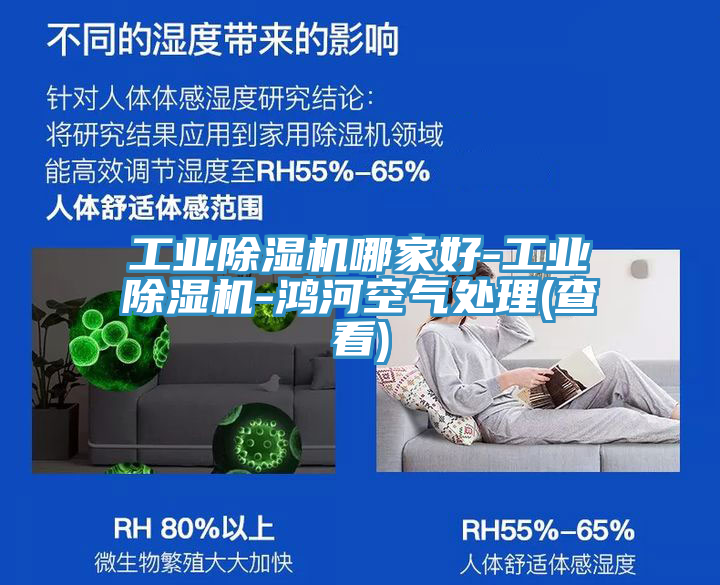 工业抖音成人版下载哪家好-工业抖音成人版下载-鸿河空气处理(查看)