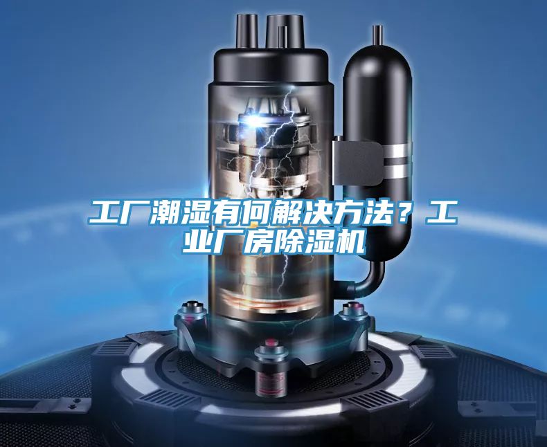 工厂潮湿有何解决方法？工业厂房抖音成人版下载