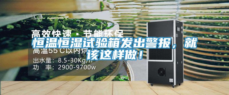 恒温恒湿试验箱发出警报，就该这样做！