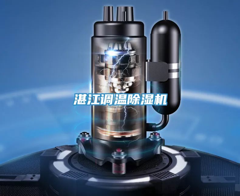 湛江调温抖音成人版下载