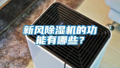 新风抖音成人版下载的功能有哪些？