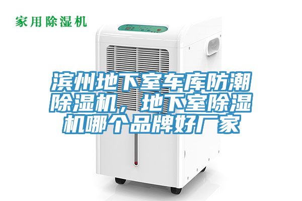 滨州地下室车库防潮抖音成人版下载，地下室抖音成人版下载哪个品牌好厂家