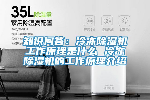 知识问答：冷冻抖音成人版下载工作原理是什么 冷冻抖音成人版下载的工作原理介绍