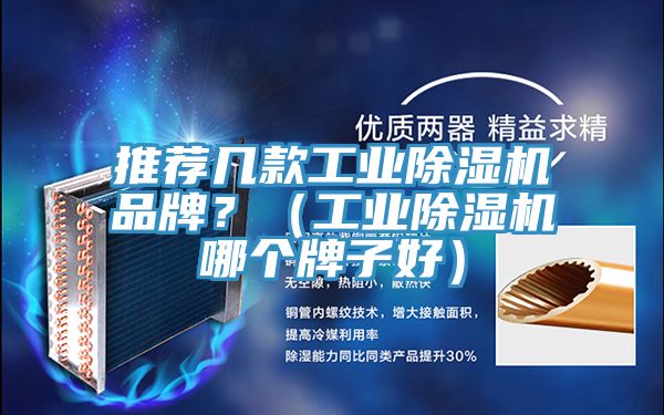 推荐几款工业抖音成人版下载品牌？（工业抖音成人版下载哪个牌子好）