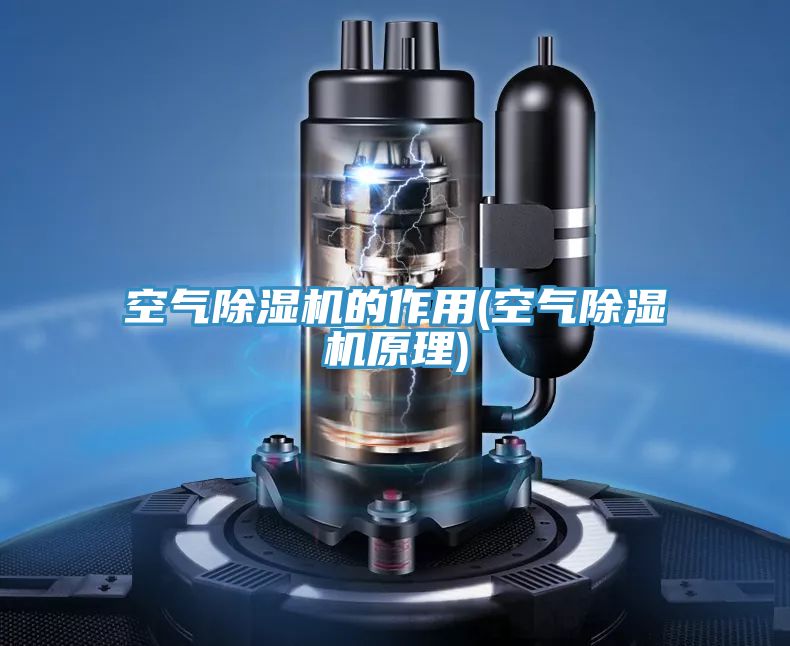 空气抖音成人版下载的作用(空气抖音成人版下载原理)