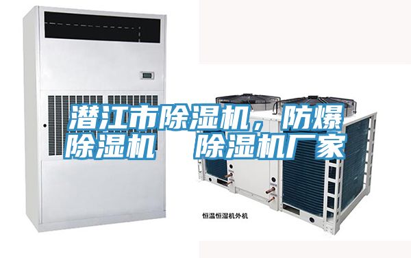 潜江市抖音成人版下载，防爆抖音成人版下载  抖音成人版下载厂家