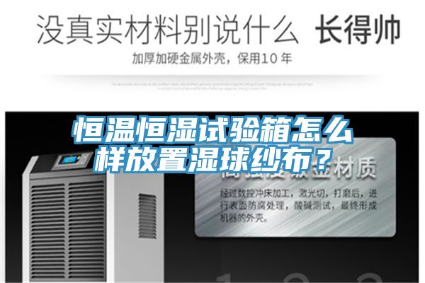 恒温恒湿试验箱怎么样放置湿球纱布？