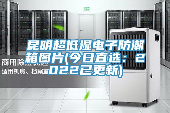 昆明超低湿电子防潮箱图片(今日直选：2022已更新)