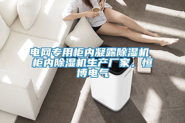 电网专用柜内凝露抖音成人版下载 柜内抖音成人版下载生产厂家，恒博电气