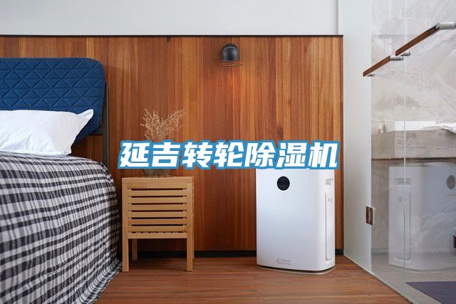 延吉转轮抖音成人版下载