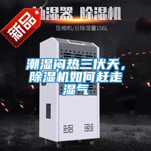 潮湿闷热三伏天，抖音成人版下载如何赶走湿气