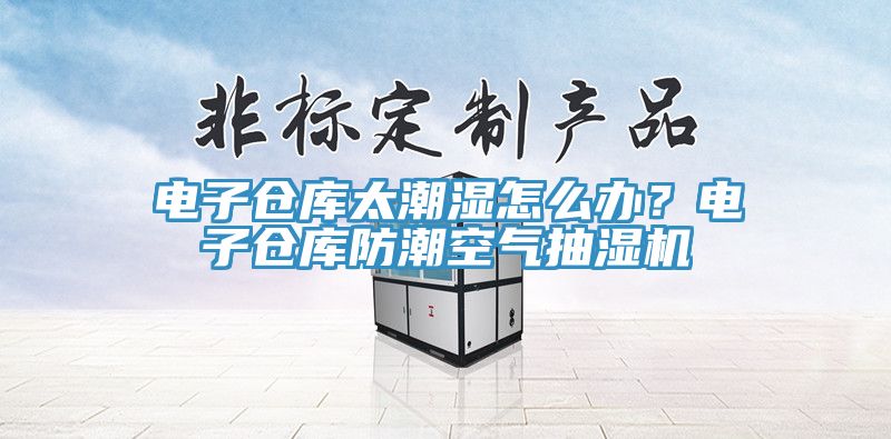 电子仓库太潮湿怎么办？电子仓库防潮空气抽湿机