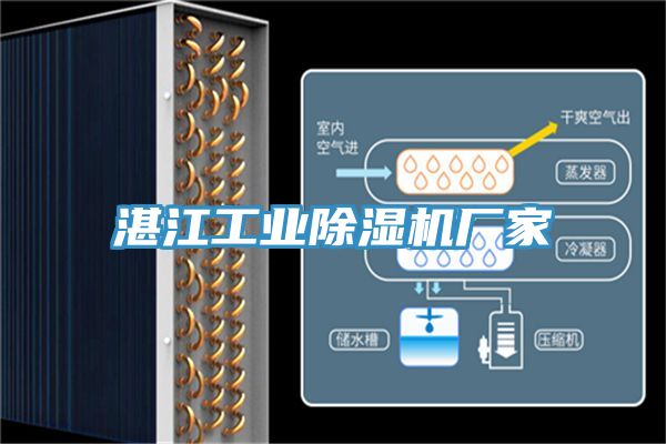 湛江工业抖音成人版下载厂家