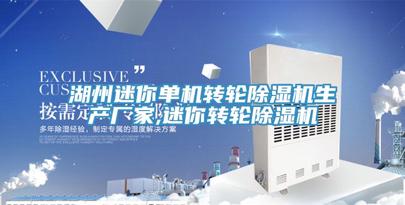 湖州迷你单机转轮抖音成人版下载生产厂家,迷你转轮抖音成人版下载