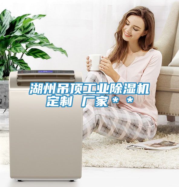 湖州吊顶工业抖音成人版下载定制 厂家＊＊