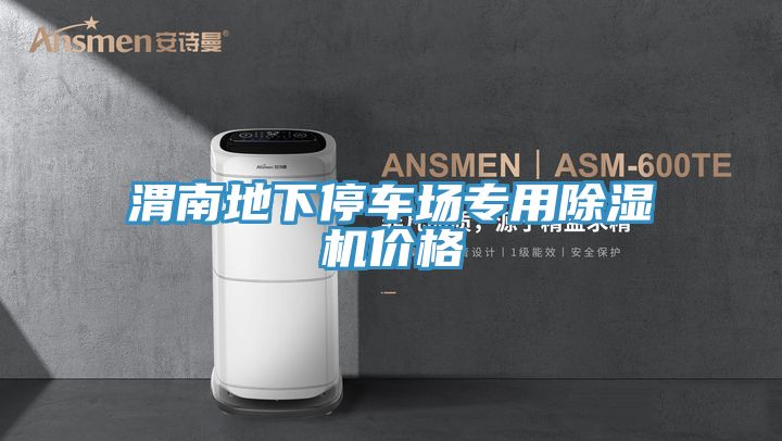 渭南地下停车场专用抖音成人版下载价格