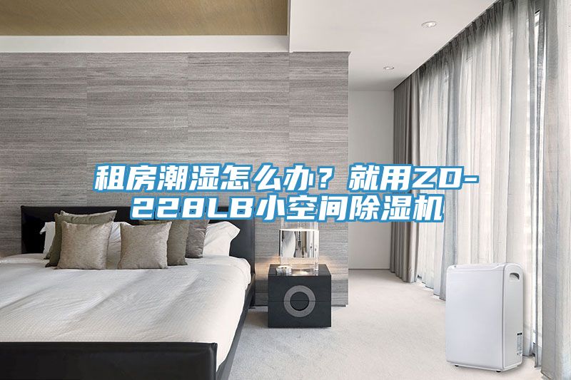 租房潮湿怎么办？就用ZD-228LB小空间抖音成人版下载
