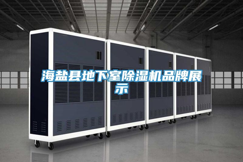 海盐县地下室抖音成人版下载品牌展示