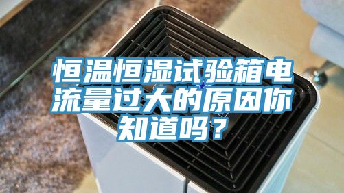 恒温恒湿试验箱电流量过大的原因你知道吗？