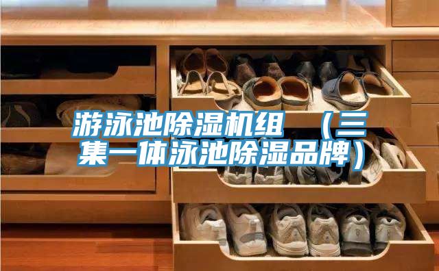 游泳池抖音成人版下载组 （三集一体泳池除湿品牌）