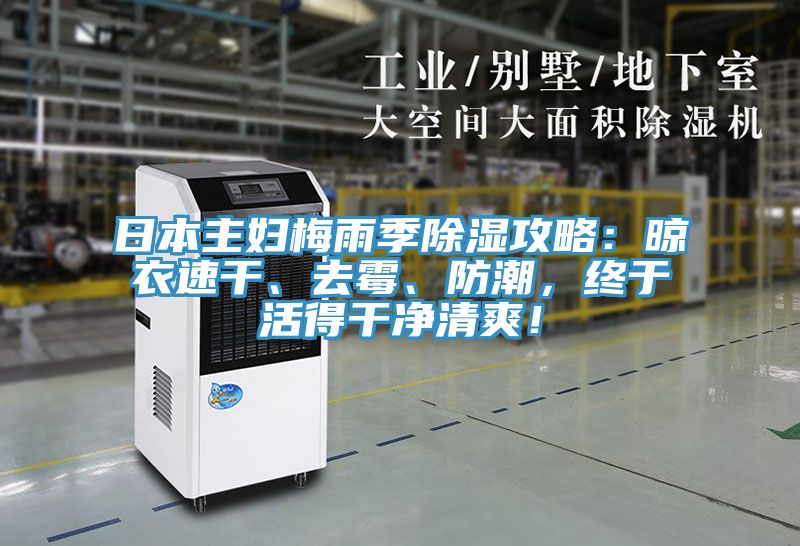 日本主妇梅雨季除湿攻略：晾衣速干、去霉、防潮，终于活得干净清爽！