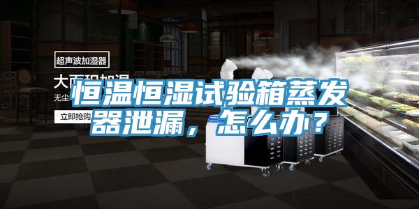 恒温恒湿试验箱蒸发器泄漏，怎么办？