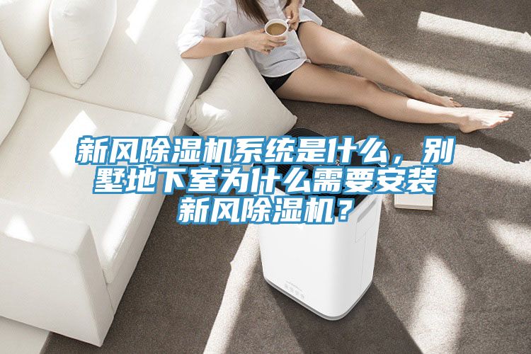 新风抖音成人版下载系统是什么，别墅地下室为什么需要安装新风抖音成人版下载？