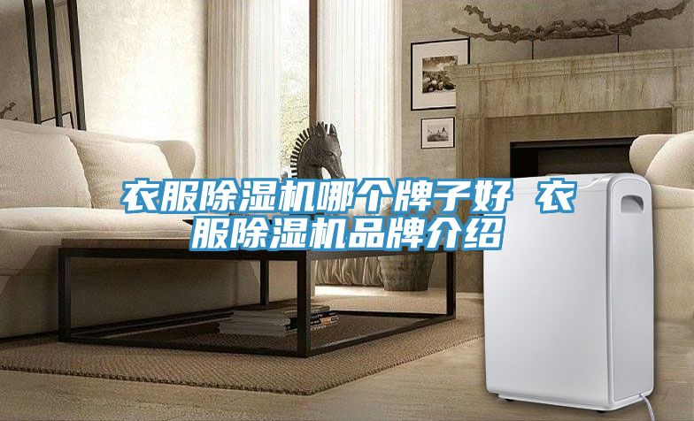 衣服抖音成人版下载哪个牌子好 衣服抖音成人版下载品牌介绍