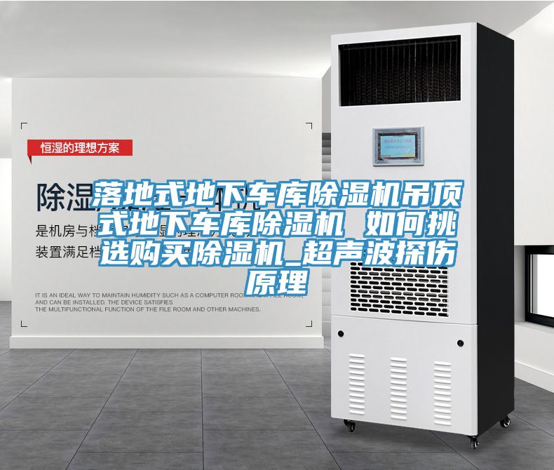 落地式地下车库抖音成人版下载吊顶式地下车库抖音成人版下载 如何挑选购买抖音成人版下载_超声波探伤原理