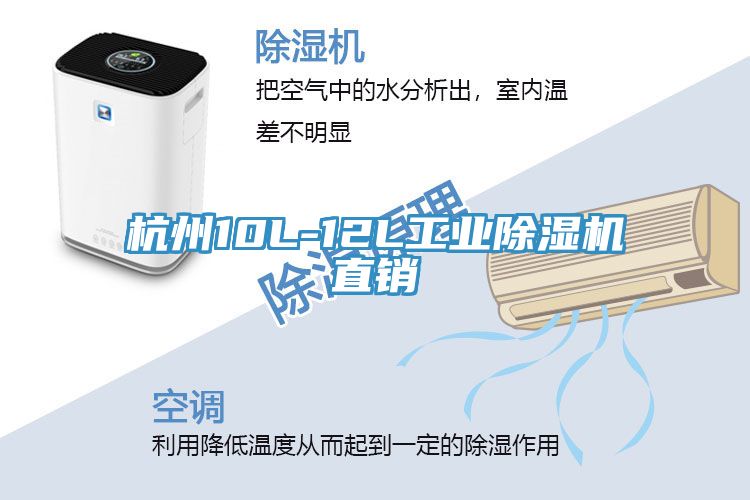 杭州10L-12L工业抖音成人版下载直销